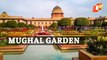 WATCH: Mughal Garden At Rashtrapati Bhavan Thrown Open For Public