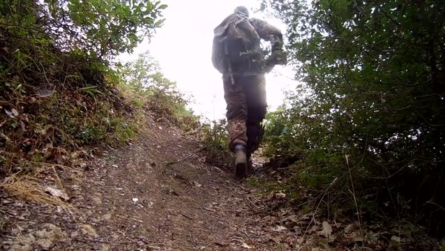 hunting rabbits with an air rifle pcp
