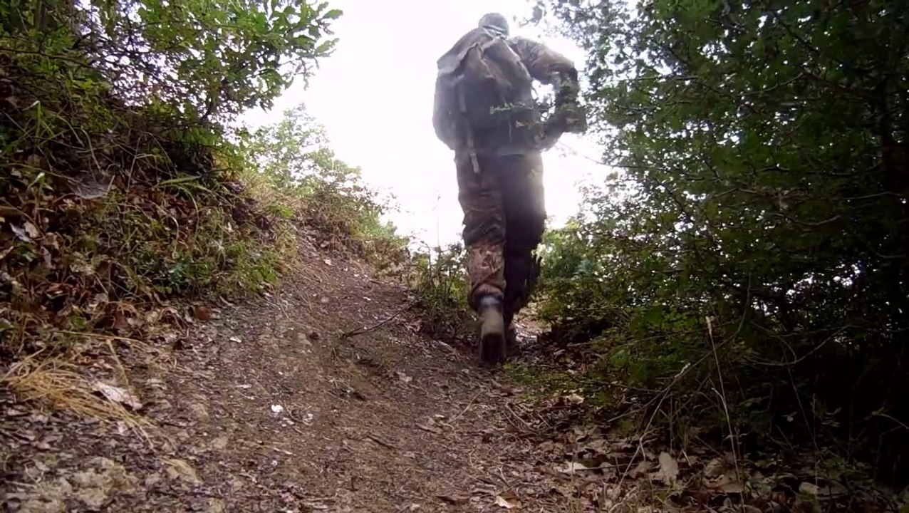 hunting rabbits with an air rifle pcp