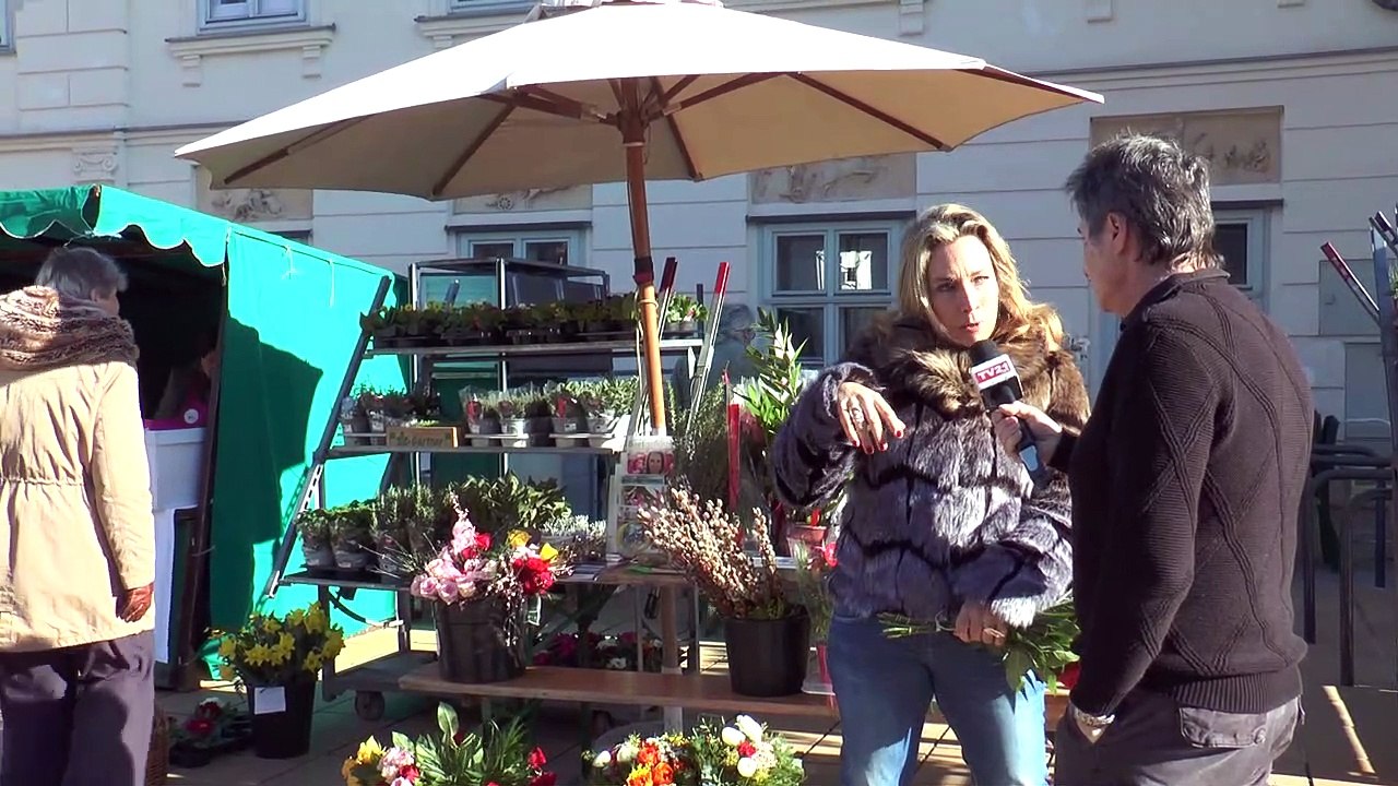 Valentinstags Spezial in der  Grätzl Oase Langenezersdorf