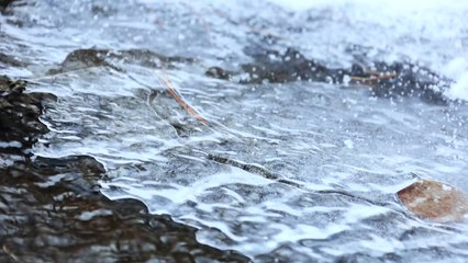 [영상] 겨울이 녹는 시간 / YTN