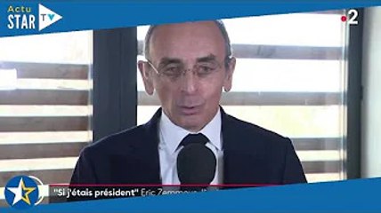 Christine Kelly future ministre ? Le rêve d'Eric Zemmour