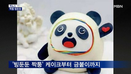 [픽뉴스] 짝퉁 빙둔둔 / "꼭꼭 숨어라" / "옷 주워와" / 당나귀 매달고 질주 / 추미애 '열연'