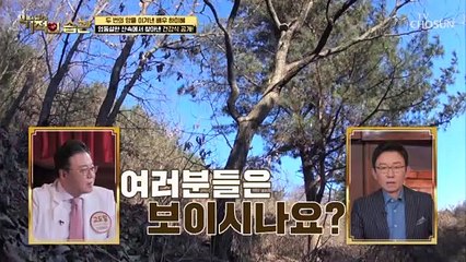 두 번의 암을 이겨낸 하미혜가 건강식을 찾아간 산속 TV CHOSUN 220215 방송