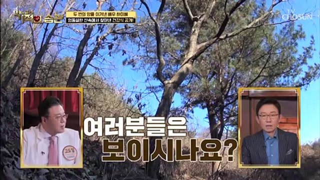 두 번의 암을 이겨낸 하미혜가 건강식을 찾아간 산속 TV CHOSUN 220215 방송