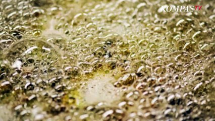 Cara Alami Mengobati Luka Terkena Percikan Minyak Panas, Apa Saja?