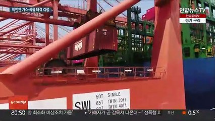 우크라 긴장에 공급망 우려…가스·곡물 확보 방침