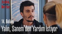 Yalın, Sanem'den yardım istiyor - Evlilik Hakkında Her Şey 14. Bölüm