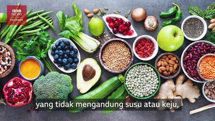 Eksperimen Diet Sehat Pada Anak Kembar Identik, Vegan vs Daging