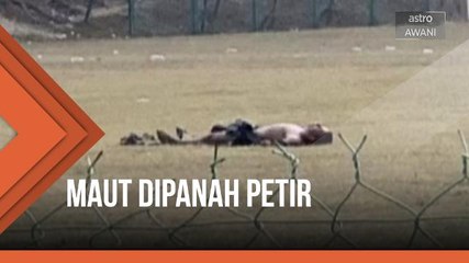 Maut dipanah petir