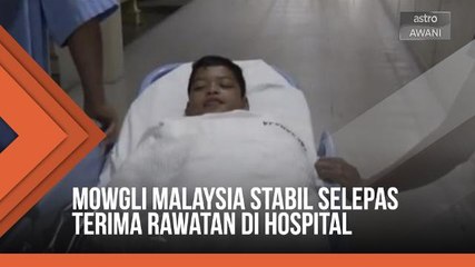 Mowgli Malaysia stabil selepas terima rawatan di hospital