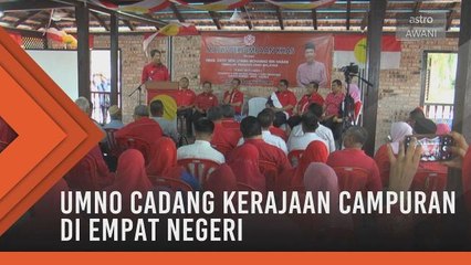 UMNO cadang kerajaan campuran di empat negeri