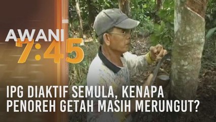 IPG diaktif semula, kenapa penoreh getah masih merungut?