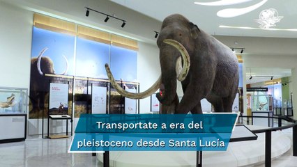 Abre sus puertas el  Museo del Mamut, visitantes tendrán una experiencia inmersiva