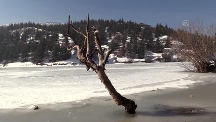 AFYONKARAHİSAR - Erkmen beldesindeki gölet buz tuttu