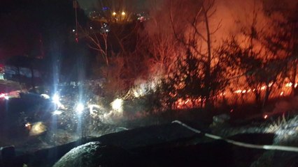 경기 시흥 야산에서 불...산림 1천700제곱미터 소실 / YTN