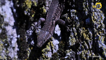 Sans commentaire: ballade mystérieuse