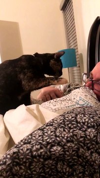 Kitty Alarm Clock Wakes Its Human up With a Boop