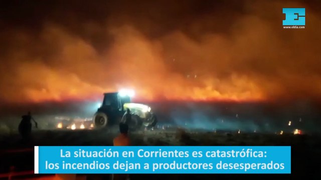 La situación en Corrientes es catastrófica: los incendios dejan a productores desesperados