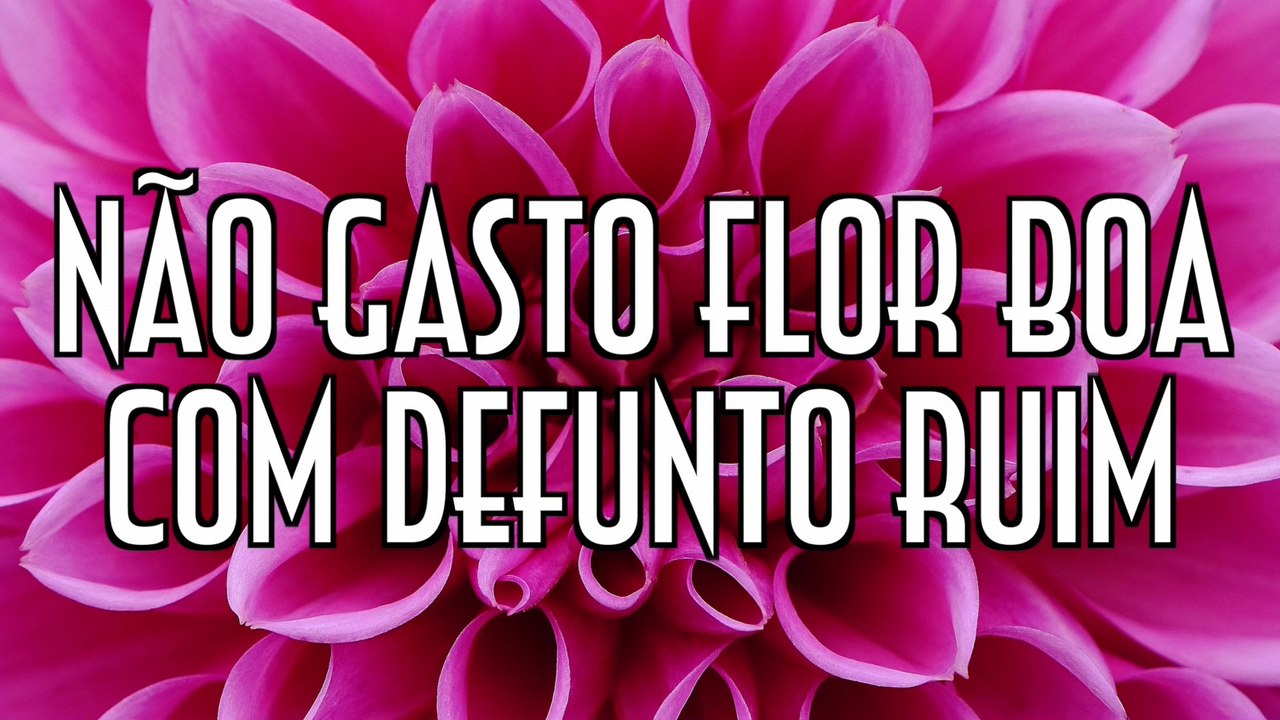 Não gasto flor boa com defunto ruim - EMVB - Emerson Martins Video Blog 2016