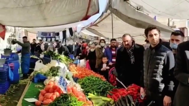 Bir patlıcan, bir domates, bir salatalık ve bir biber 20 lira…