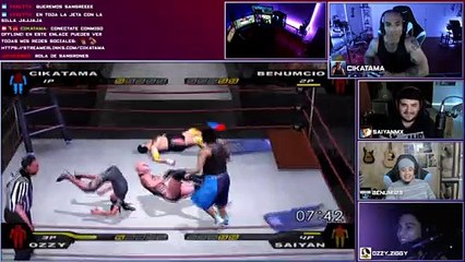 WWE Smackdown Here Comes the Pain - Champion