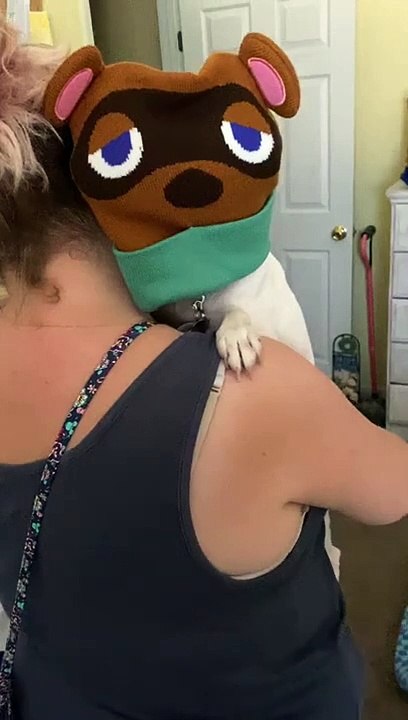 Princess delivers Tom Nook hat