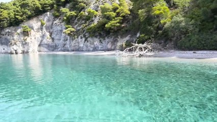 Beautiful Nature Relaxing Music (4K)