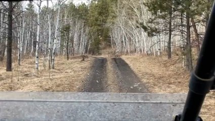 Taking an ATV through the Black Hills