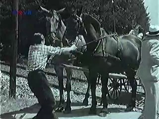 Jarčin profesor (železniční část, CZ)