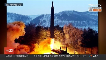 '쿼드' 외교장관들 "북 미사일 규탄"…중국 견제 공조 재확인도