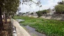 Denuncia en Cereté. Caño de aguas prietas