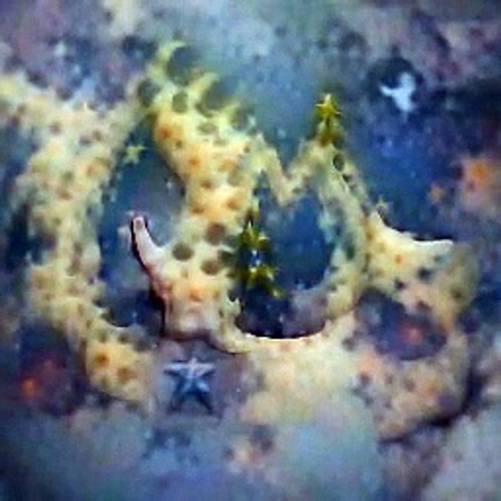 And I'm the moon.