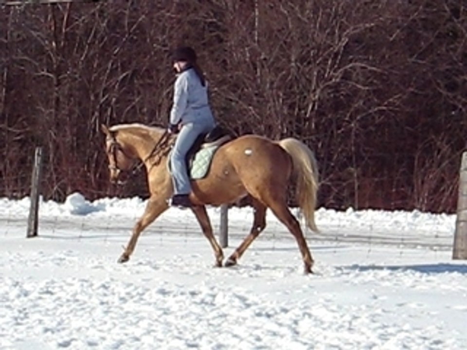MVI_6945