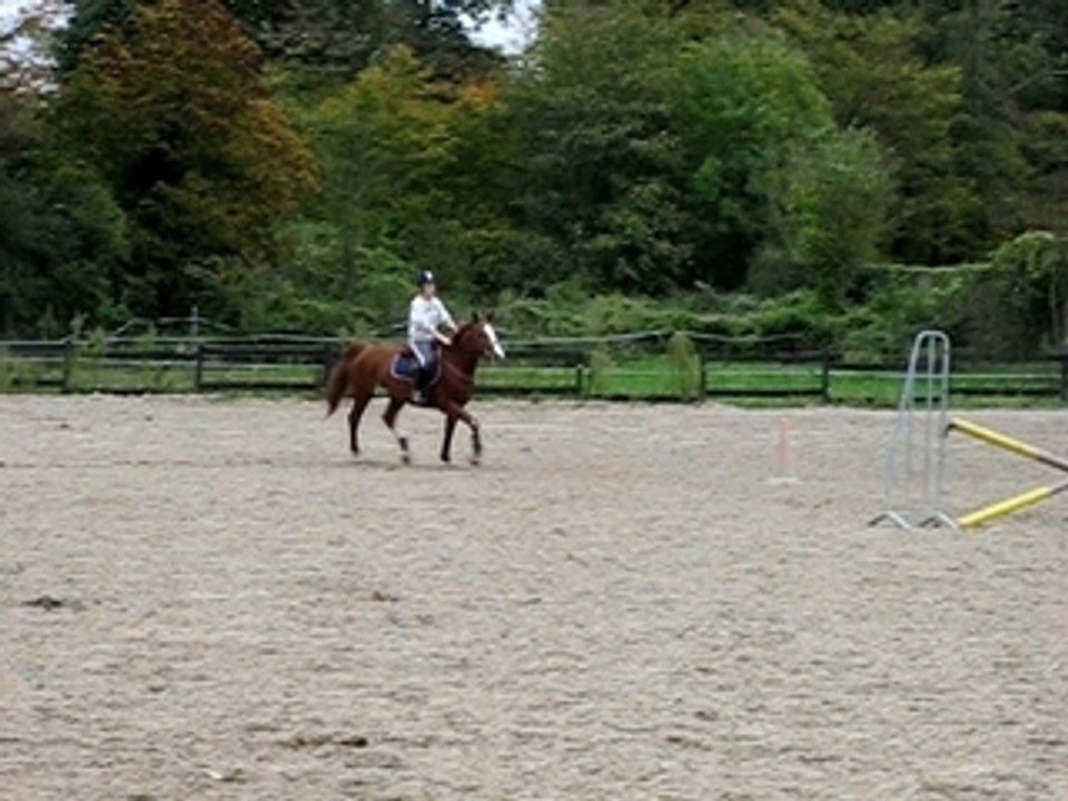 Cours du 17 octobre