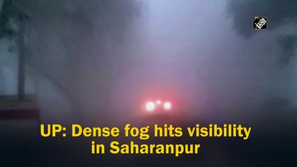 UP: Dense fog hits visibility in Saharanpur