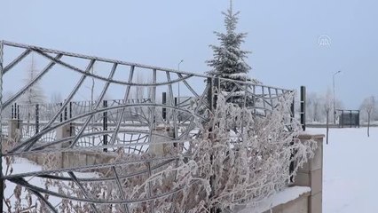 Kar ve tipi nedeniyle 75 köy yolu ulaşıma kapandı