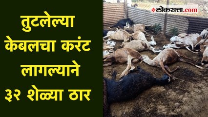 गोठ्यावर विद्युत प्रवाहाची केबल पडल्याने दुर्घटना!