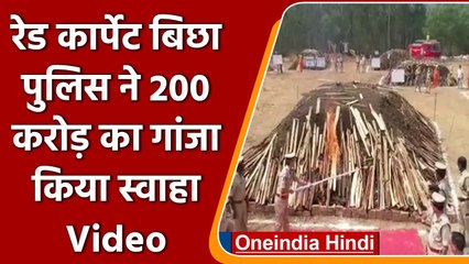 Andhra Pradesh: Red Carpet बिछा पुलिस ने 200 Crore का गांजा किया स्वाहा | वनइंडिया हिंदी