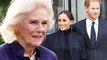 Meghan 'does not follow same rules' as future queen Camilla as Duchess 'outshines' Harry