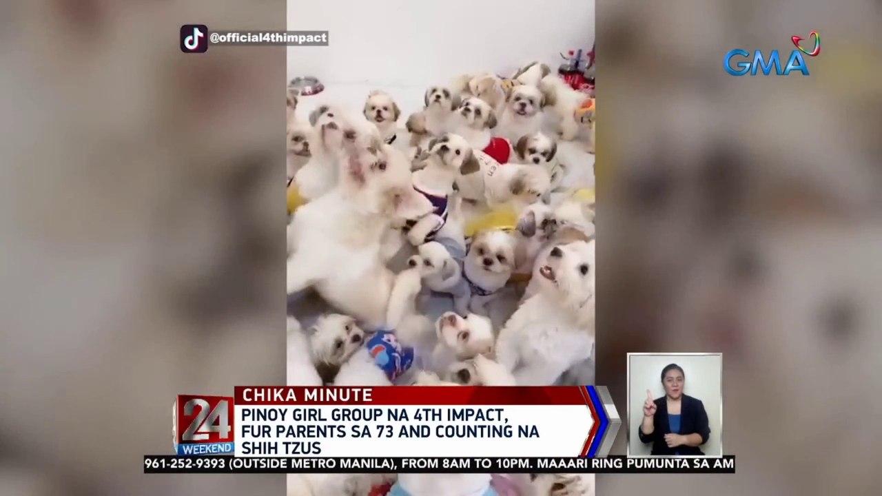 Pinoy girl group na 4th Impact, fur parets sa 73 and counting na shih tzus  | 24 Oras