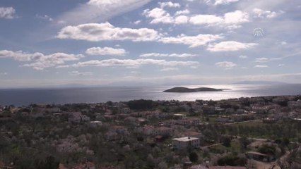 Badem ağaçları çiçek açtı