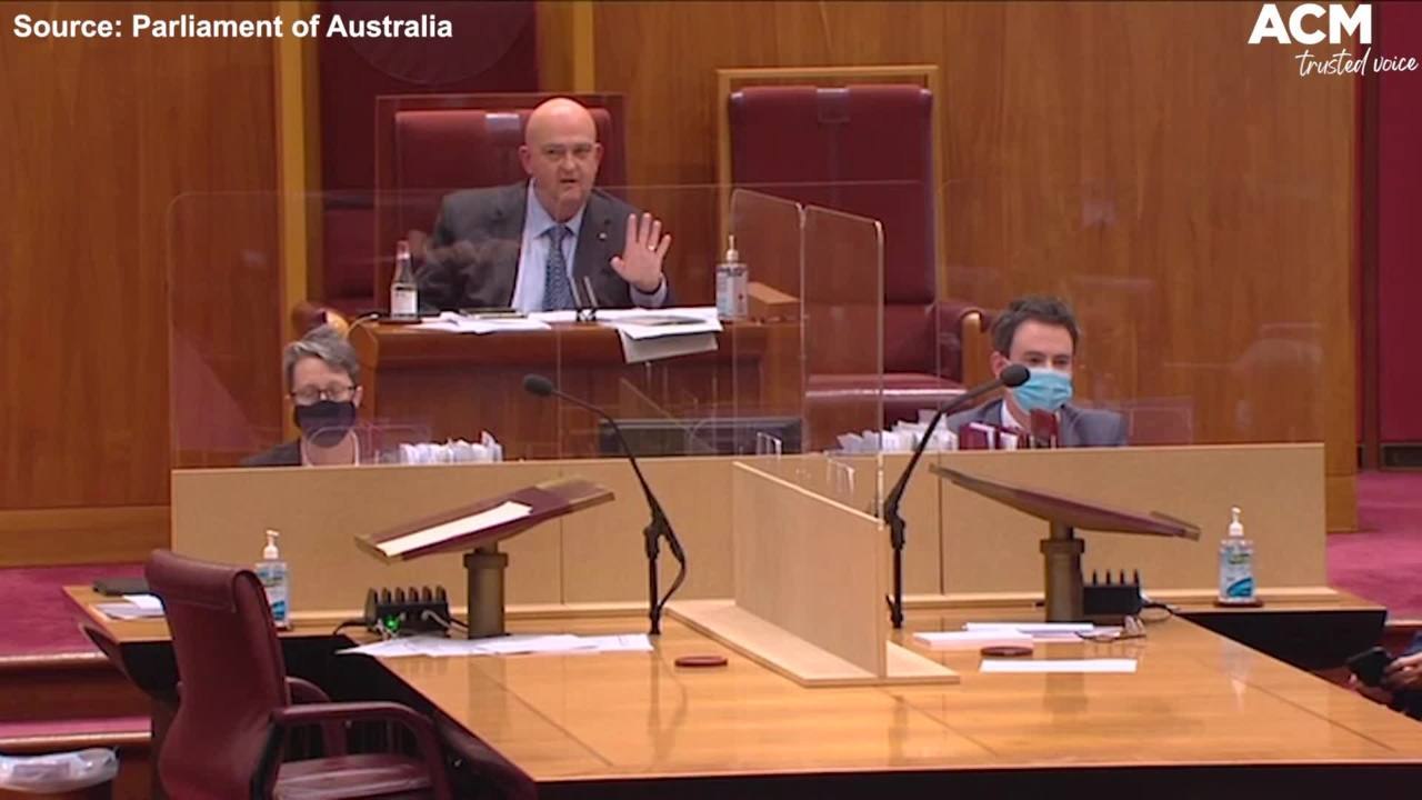 Senator allegedly says "at least I keep my legs shut" - Lidia Thorpe, Hollie Hughes and Ben Small Senate Clip | December 2, 2021 | ACM