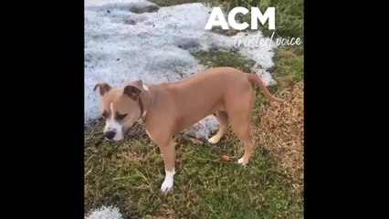 Storm aftermath Portland - January 7, 2022 - The Warrnambool Standard