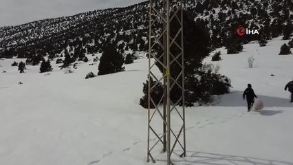 Konya'da ağır kış şartlarında doğadaki hayvanlar unutulmadı