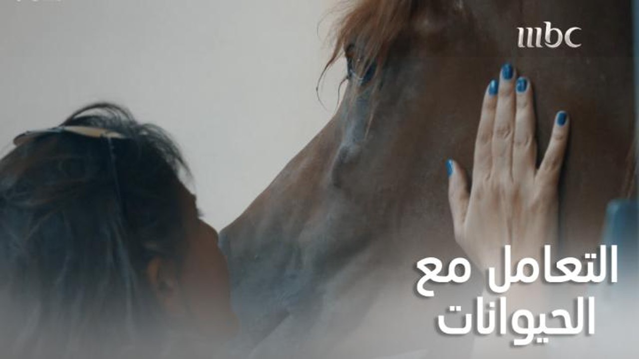 أغلب الأشخاص اللي يربون حيوانات بيتمنوا لو يقدر...