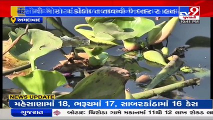 Filthy lake irk residents near Chandola lake _Ahmedabad _Gujarat _Tv9GujaratiNews