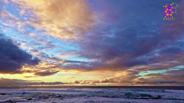 intro-logo-newaudio-15-min-20220115-192418