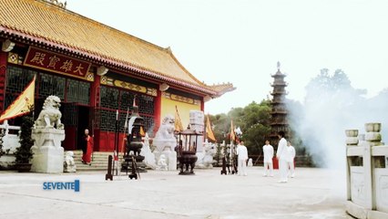 Blood Money Film d'Action en Français (2022) Pitbull, Gordon Liu