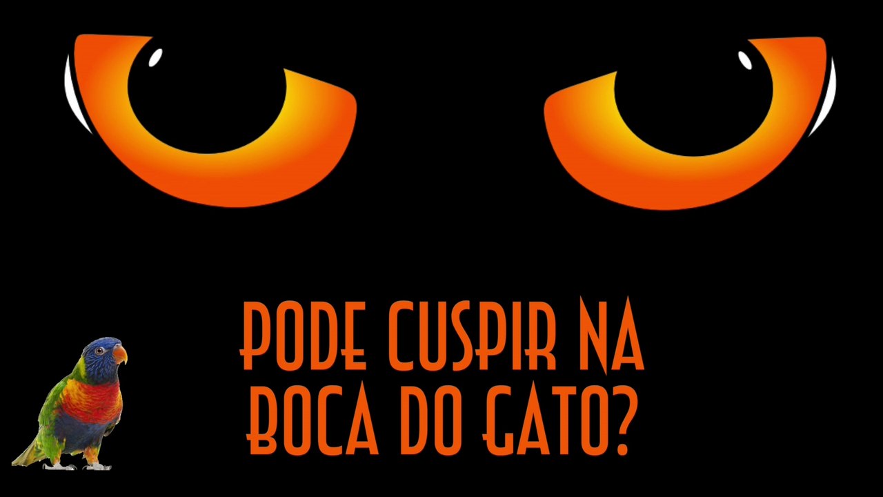 Pode cuspir na boca do gato? - EMVB - Emerson Martins Video Blog 2016